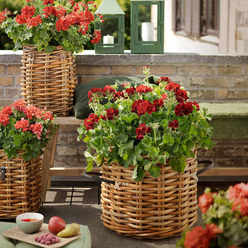 Rattan Korb rund maxi low - 45x39cm