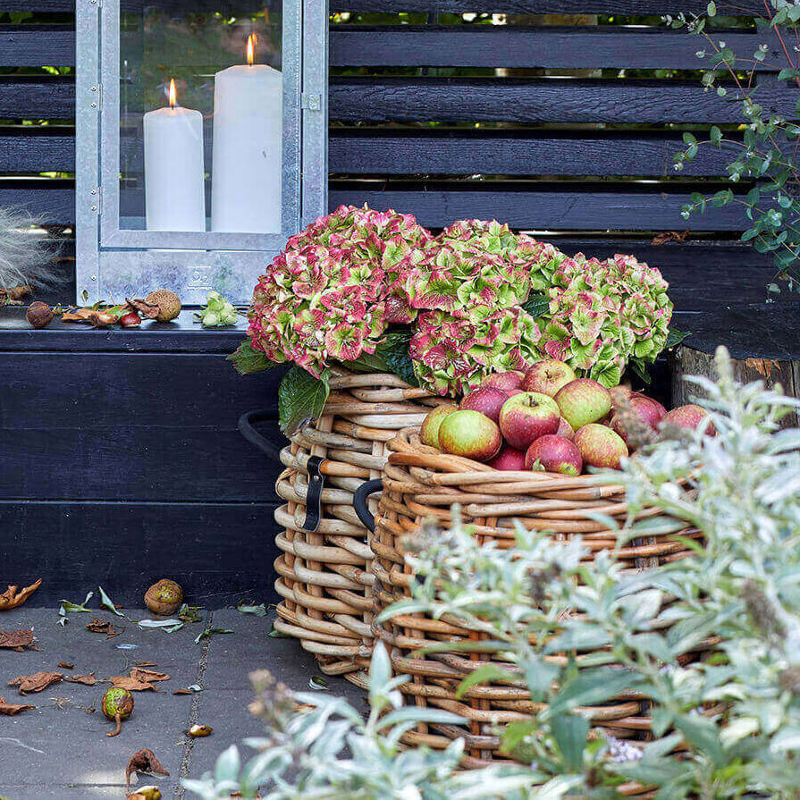 Rattan Korb rund maxi low - 45x39cm