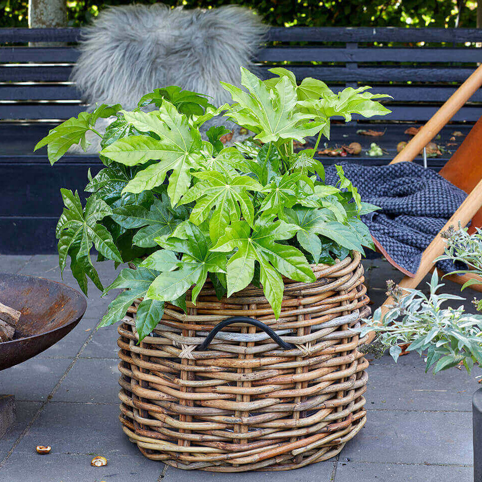 Rattan Korb rund maxi low - 45x39cm