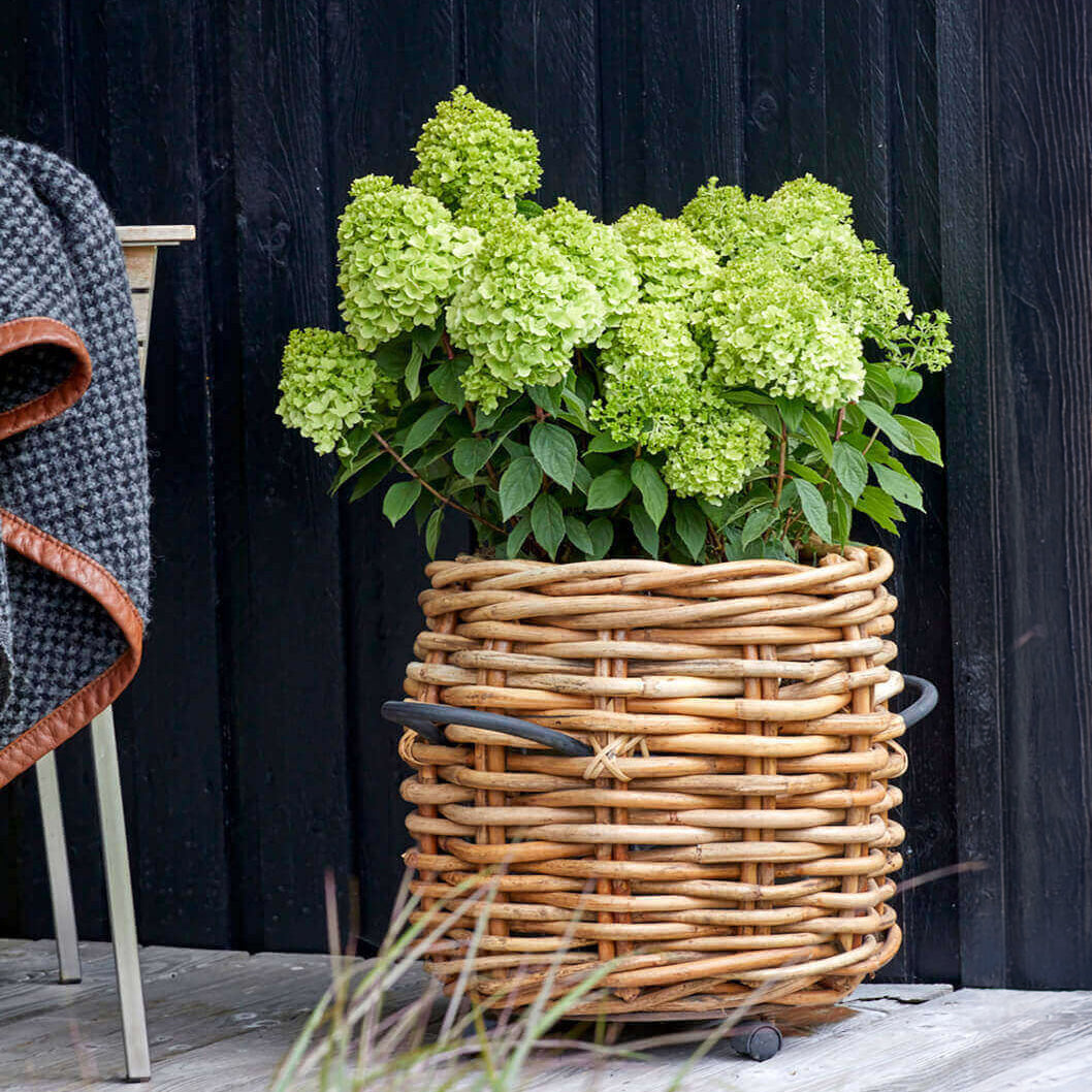 Rattan-Korb als Schale oder Übertopf für Gartendekoration