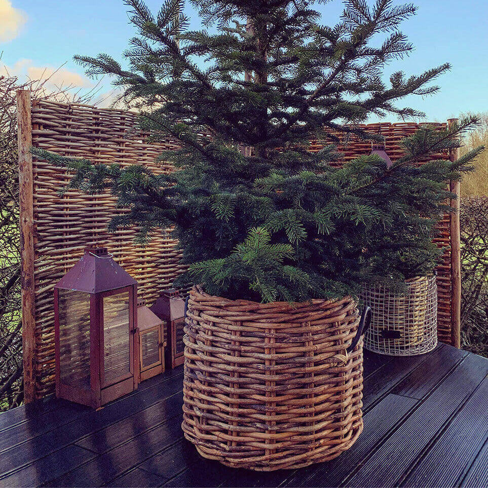 Rattan Korb rund mega low - 62x50cm