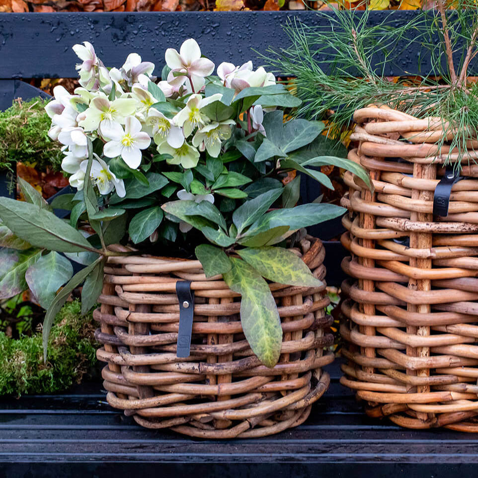 Rattan Korb rund mini low