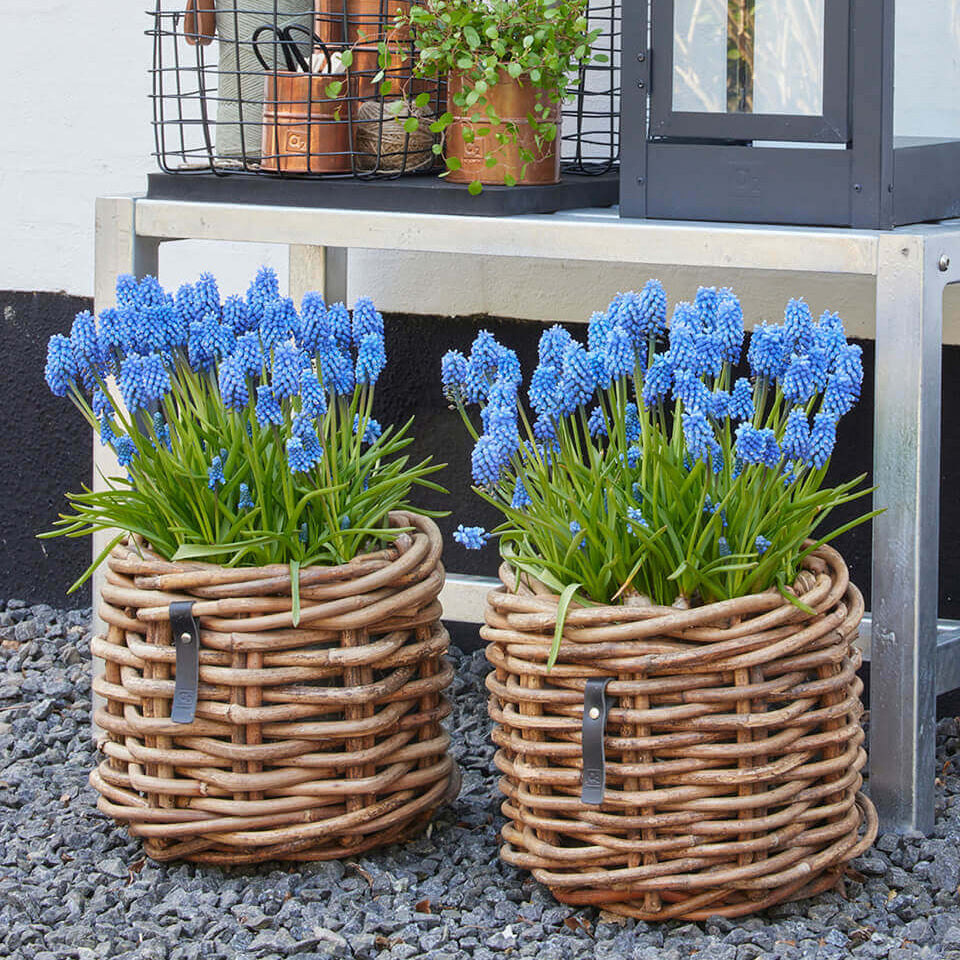 Rattan Korb rund mini low - 32x24cm