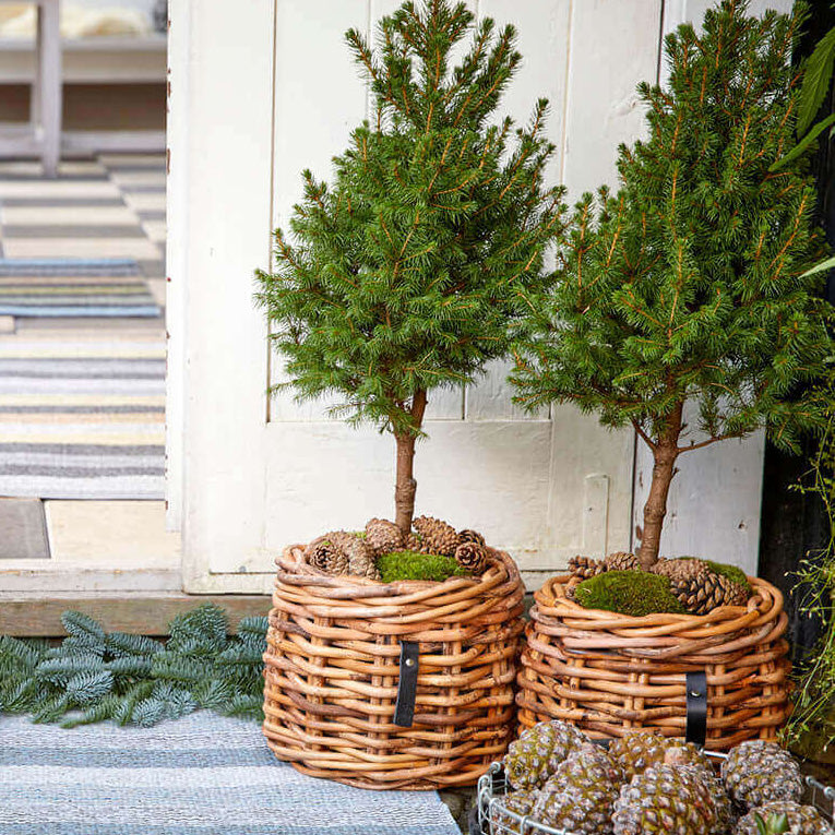 Rattan Korb rund mini low