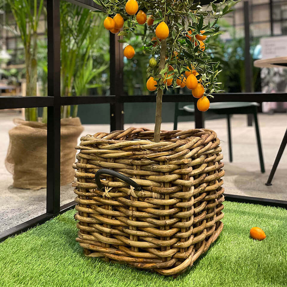 Rattan Korb eckig maxi low - 41x39cm