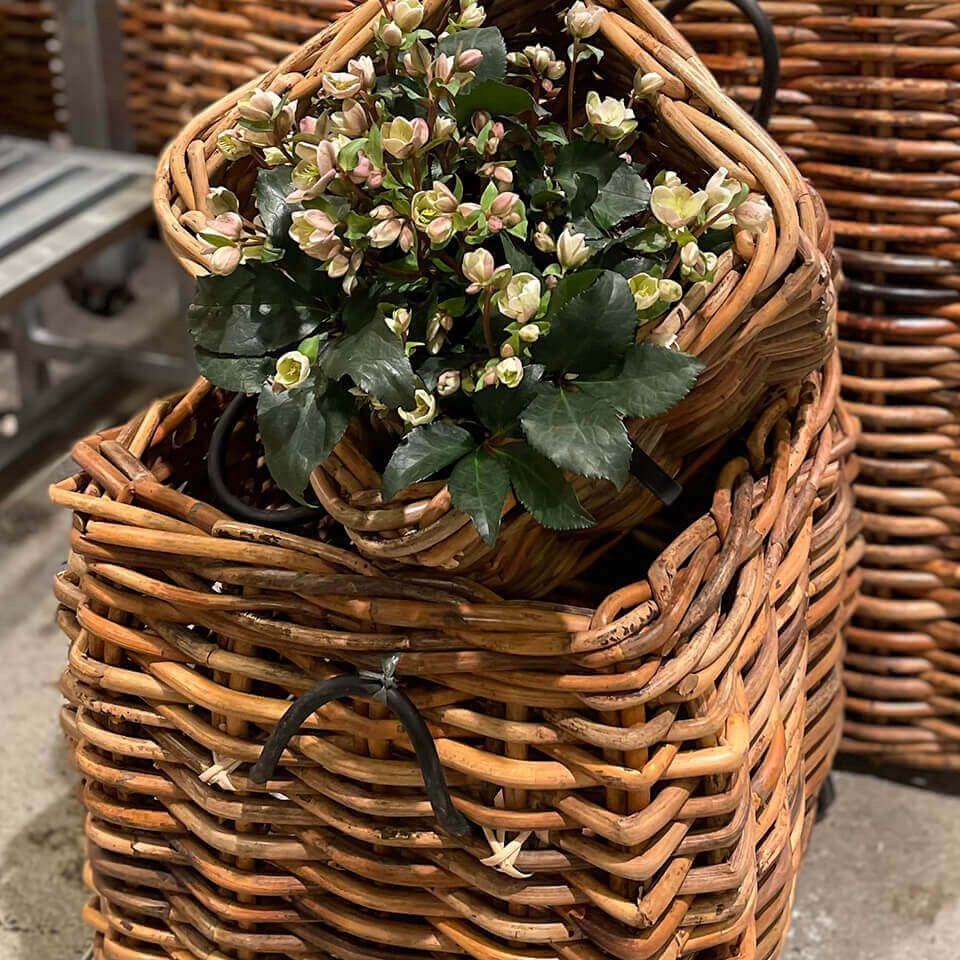 Rattan Korb eckig maxi low - 41x39cm