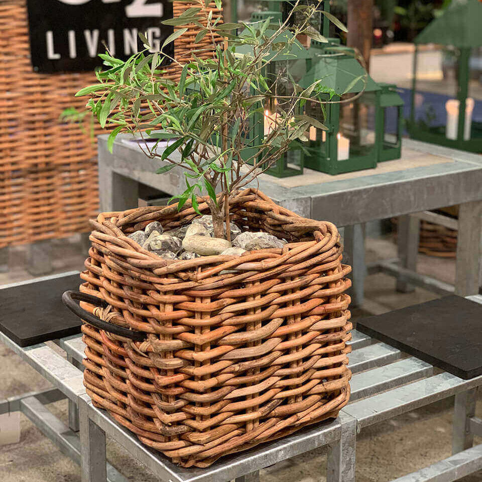Rattan Korb eckig maxi low - 41x39cm