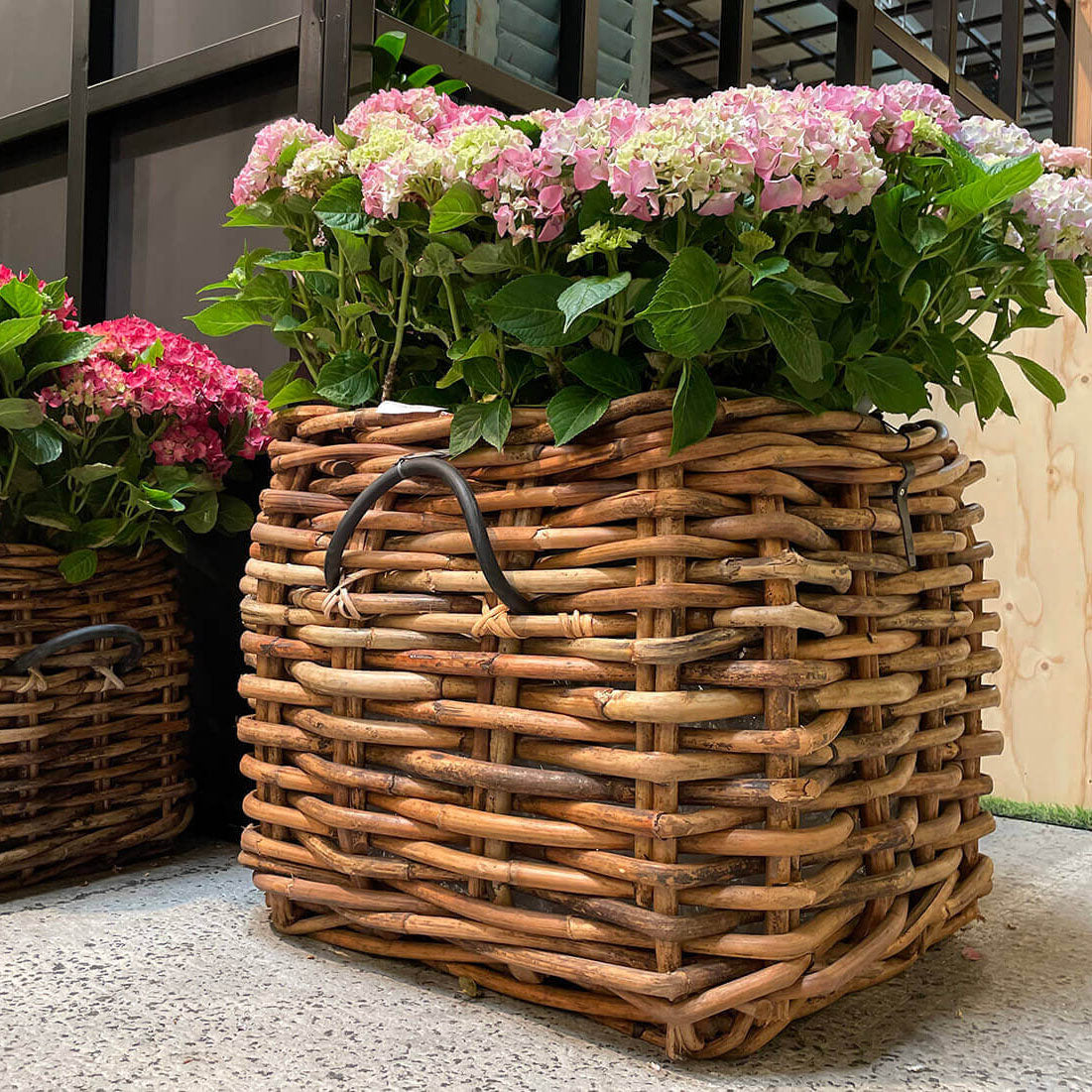 Rattan Korb eckig mega low - 59x50cm