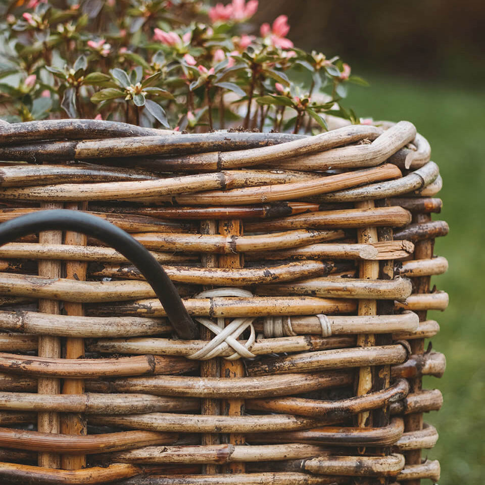 Rattan Korb eckig mega low - 59x50cm