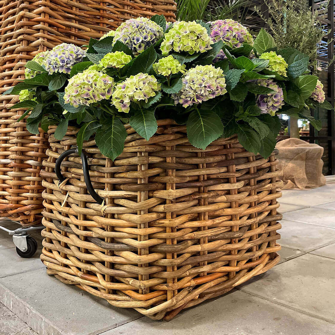 Rattan Korb eckig mega low - 59x50cm