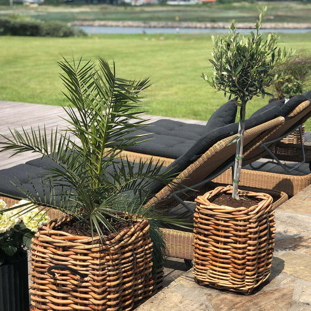 Rattan Korb eckig mini - 27x40cm