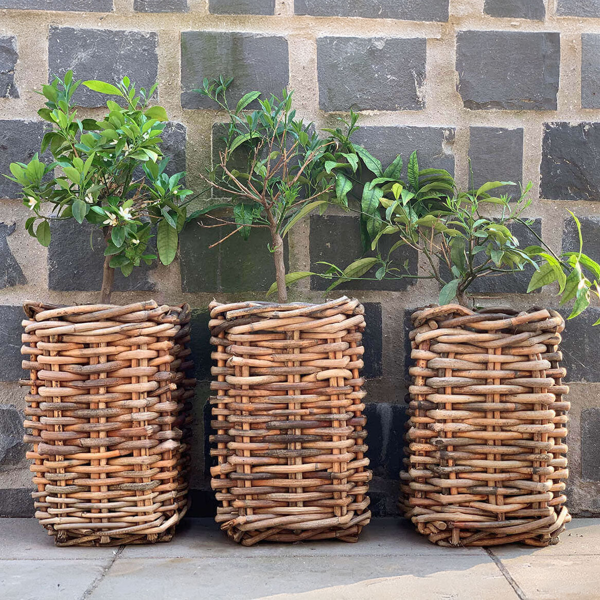 Rattan Korb eckig mini - 27x40cm