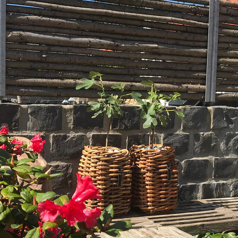 Rattan Korb eckig mini - 27x40cm