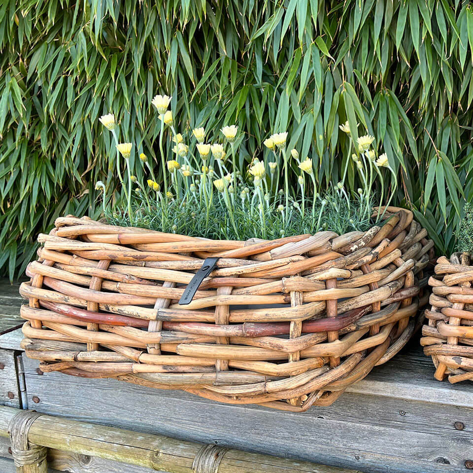 Rattan Schalen - eckig