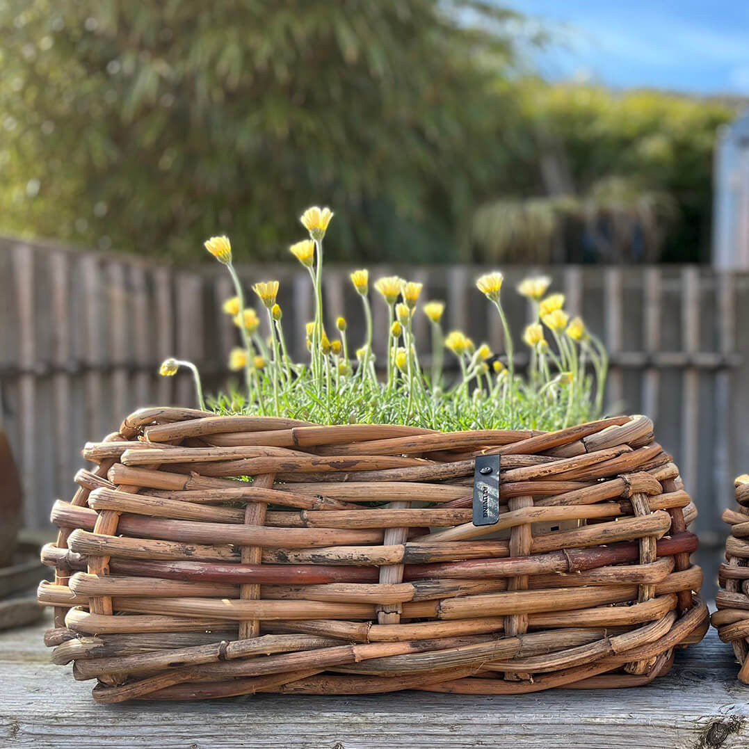 Rattan Schalen - eckig