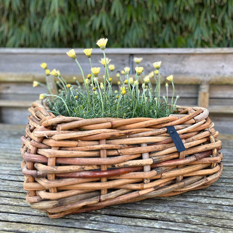 Rattan Schalen - eckig