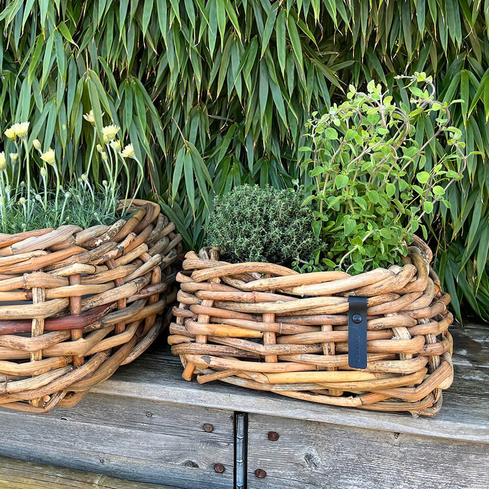 Rattan Schalen - eckig