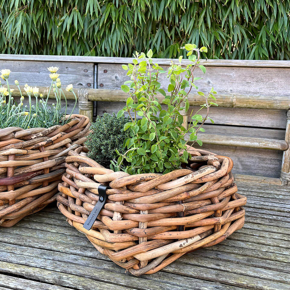 Rattan Schalen - eckig