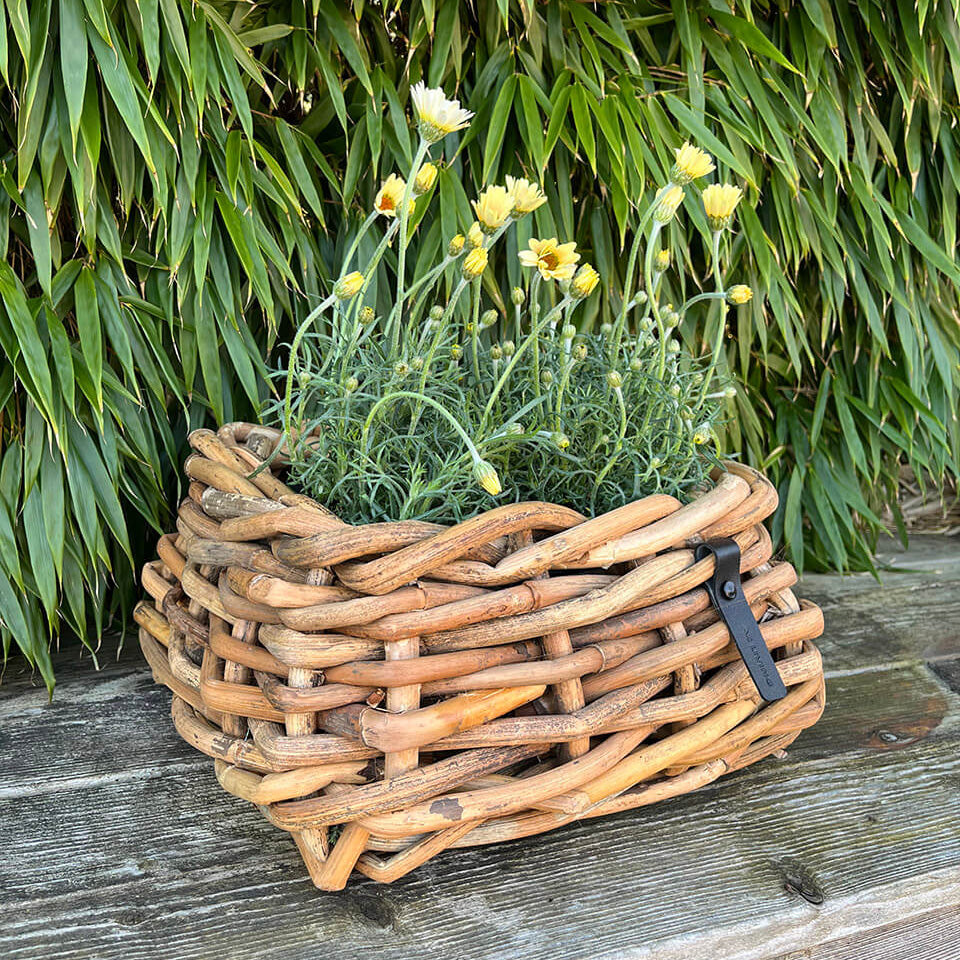 Rattan Schalen - eckig