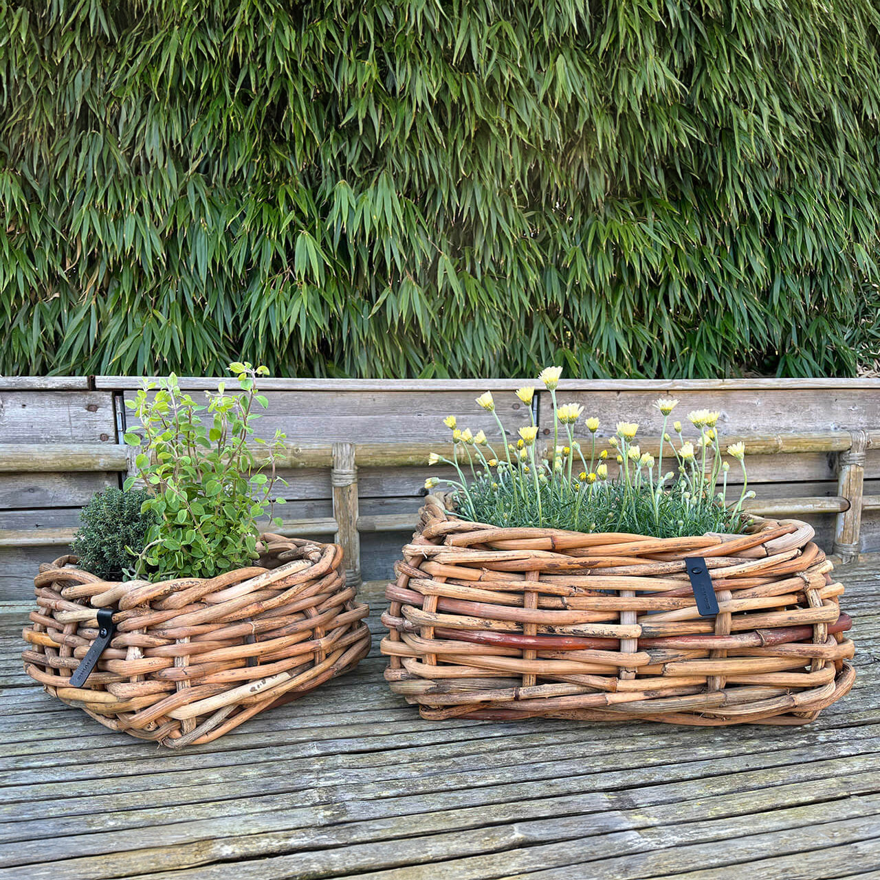 Rattan Schalen - eckig