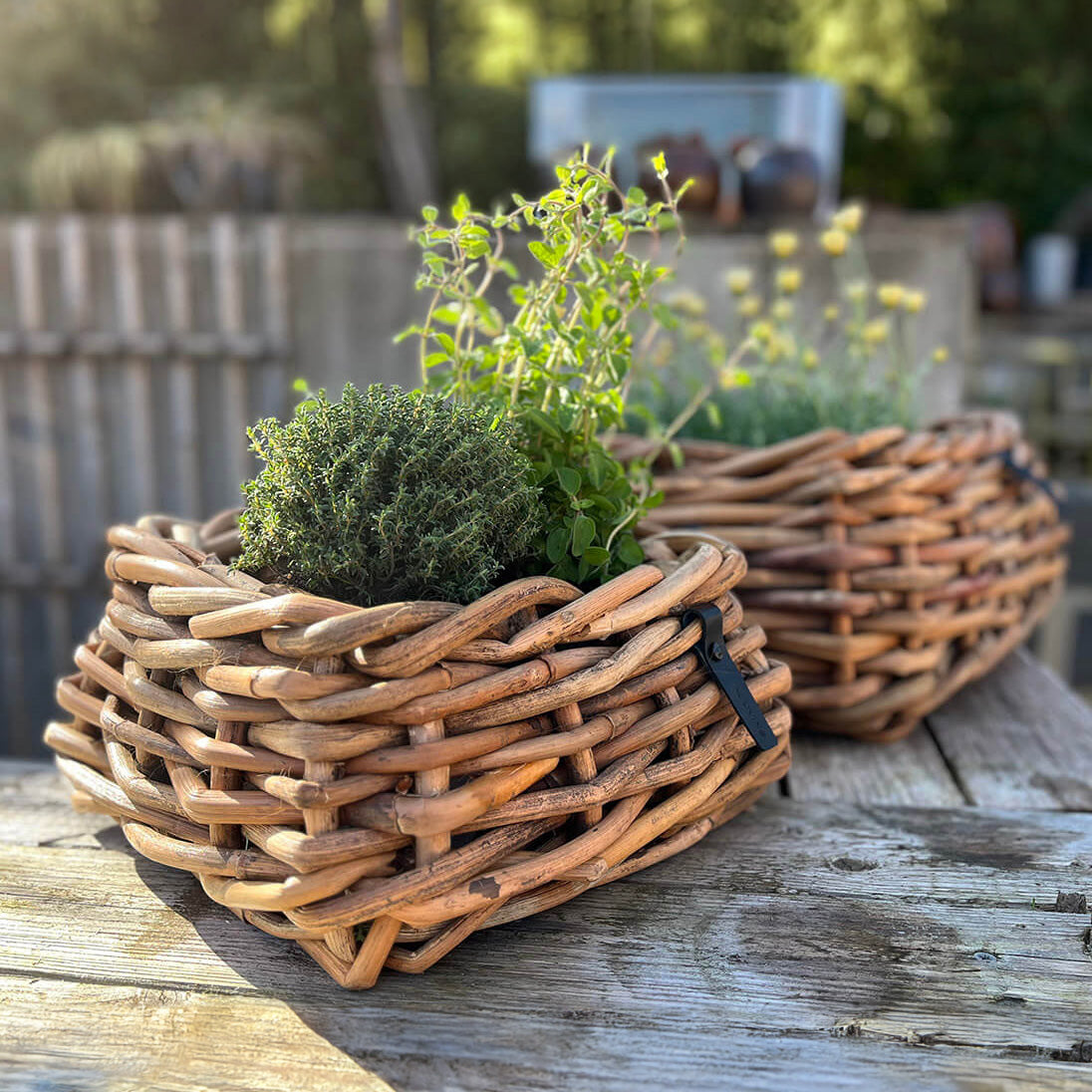 Rattan Schalen - eckig