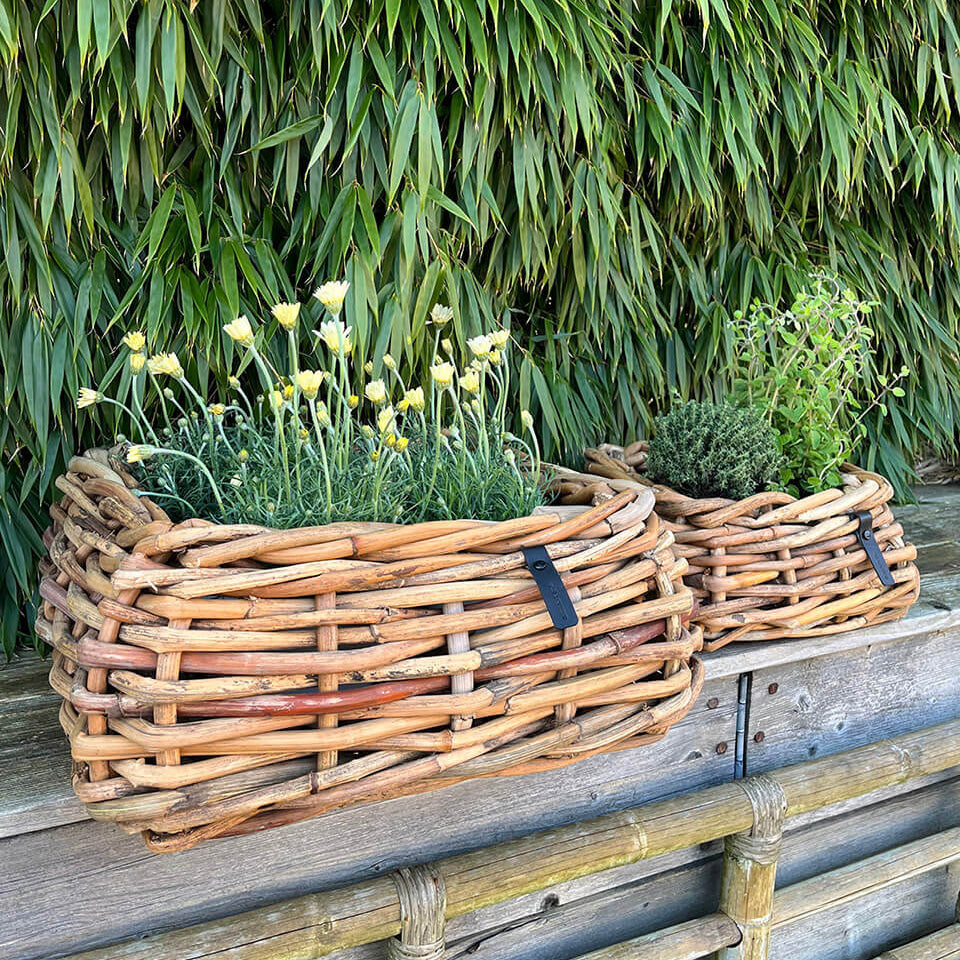 Rattan Schalen - eckig