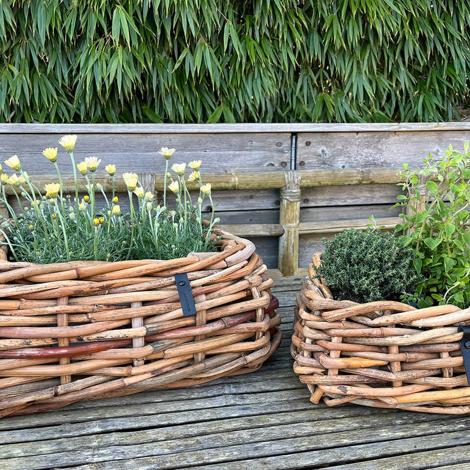 Rattan Schalen - eckig