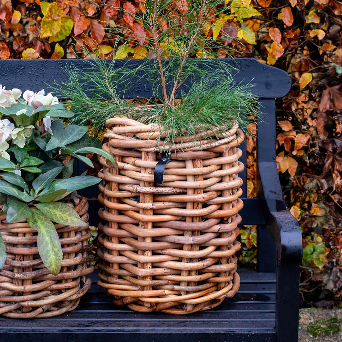 Rattan Korb rund mini - 32x40cm