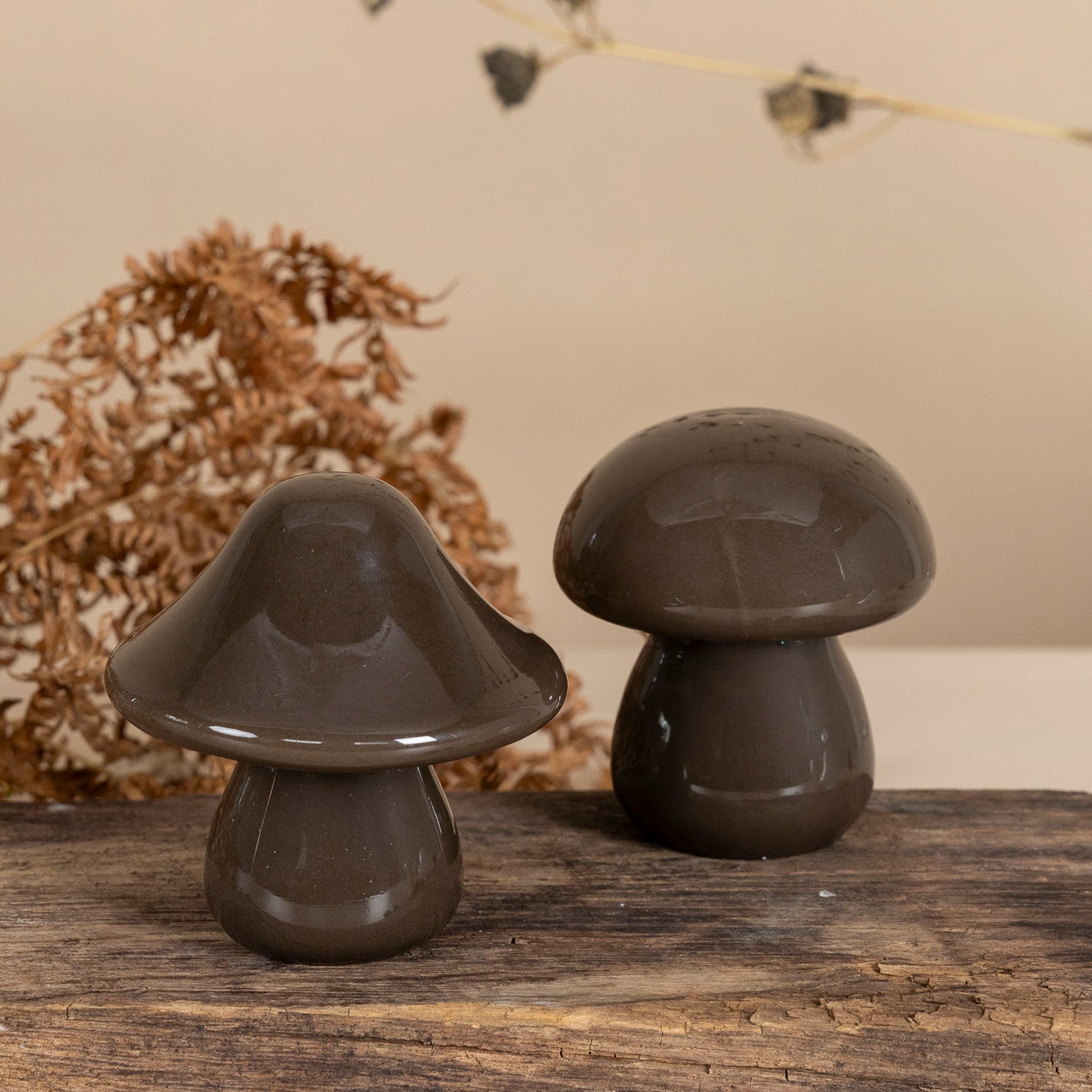 Pilz Skogsbacken - braun