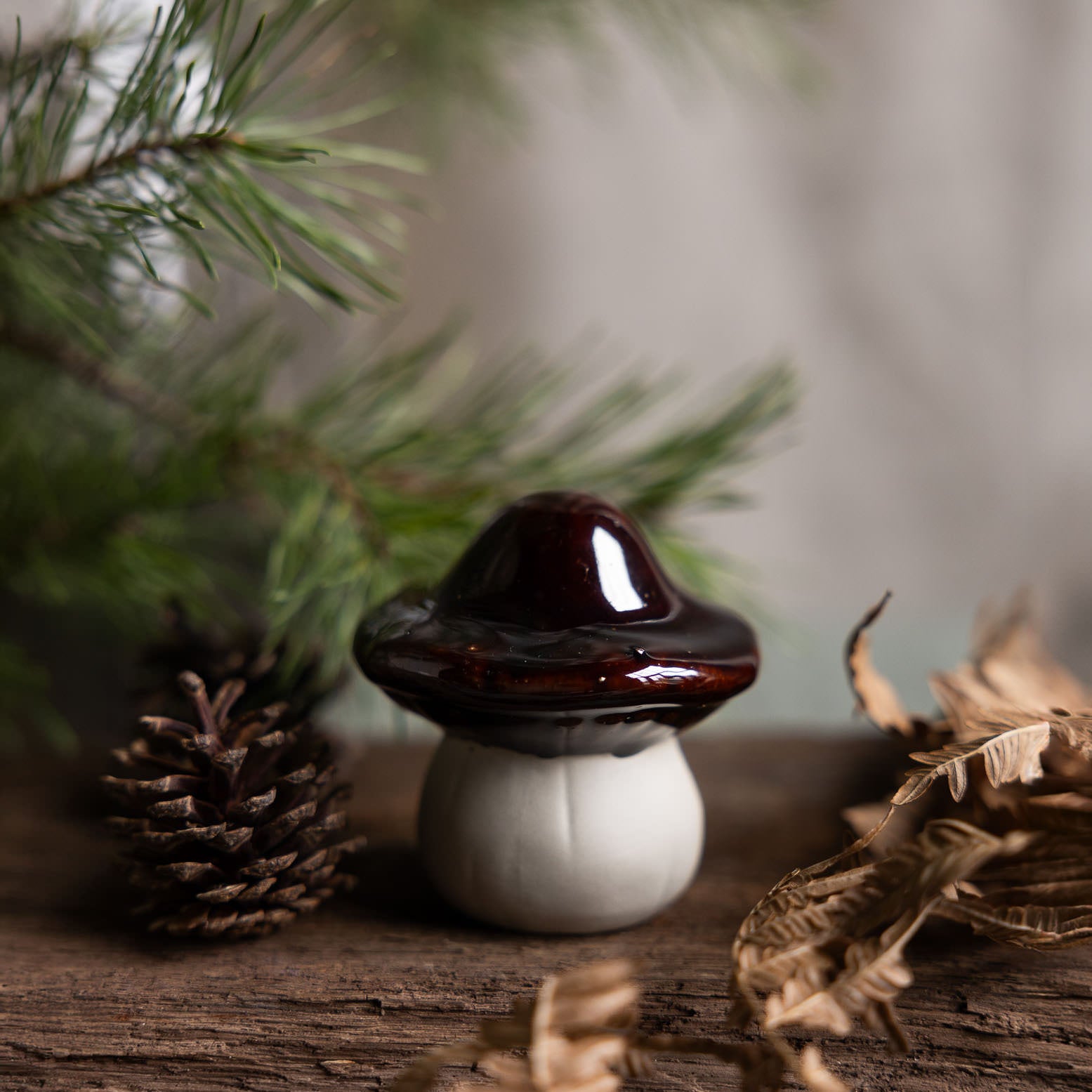 Pilz Skogstorp - braun