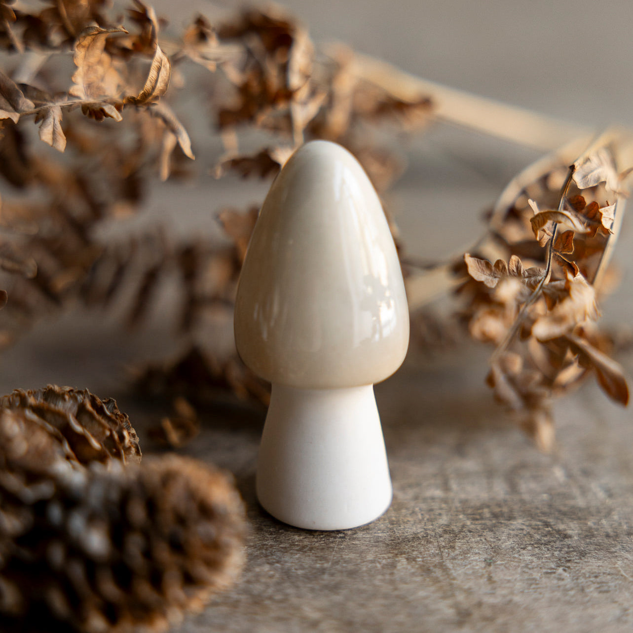 Pilz Bohult - beige