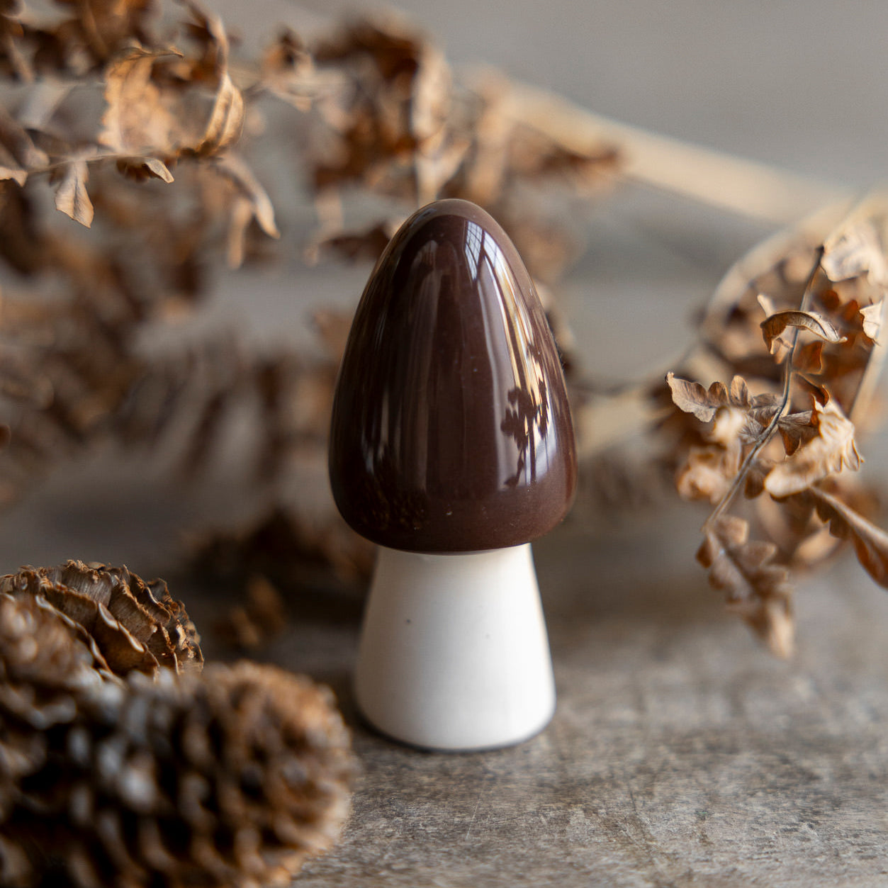Pilz Bohult - braun