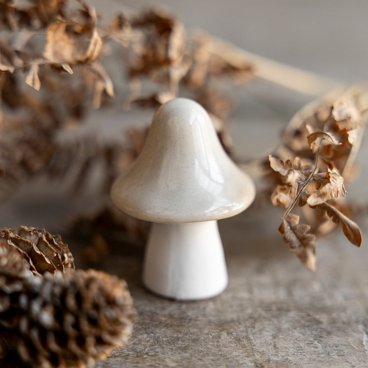 Pilz Bosten - beige
