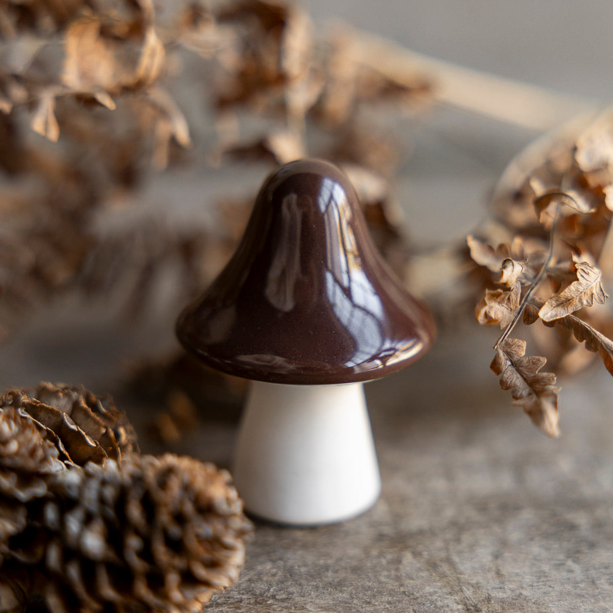 Pilz Bosten - braun