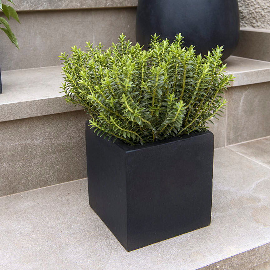 Pflanztopf Block - black
