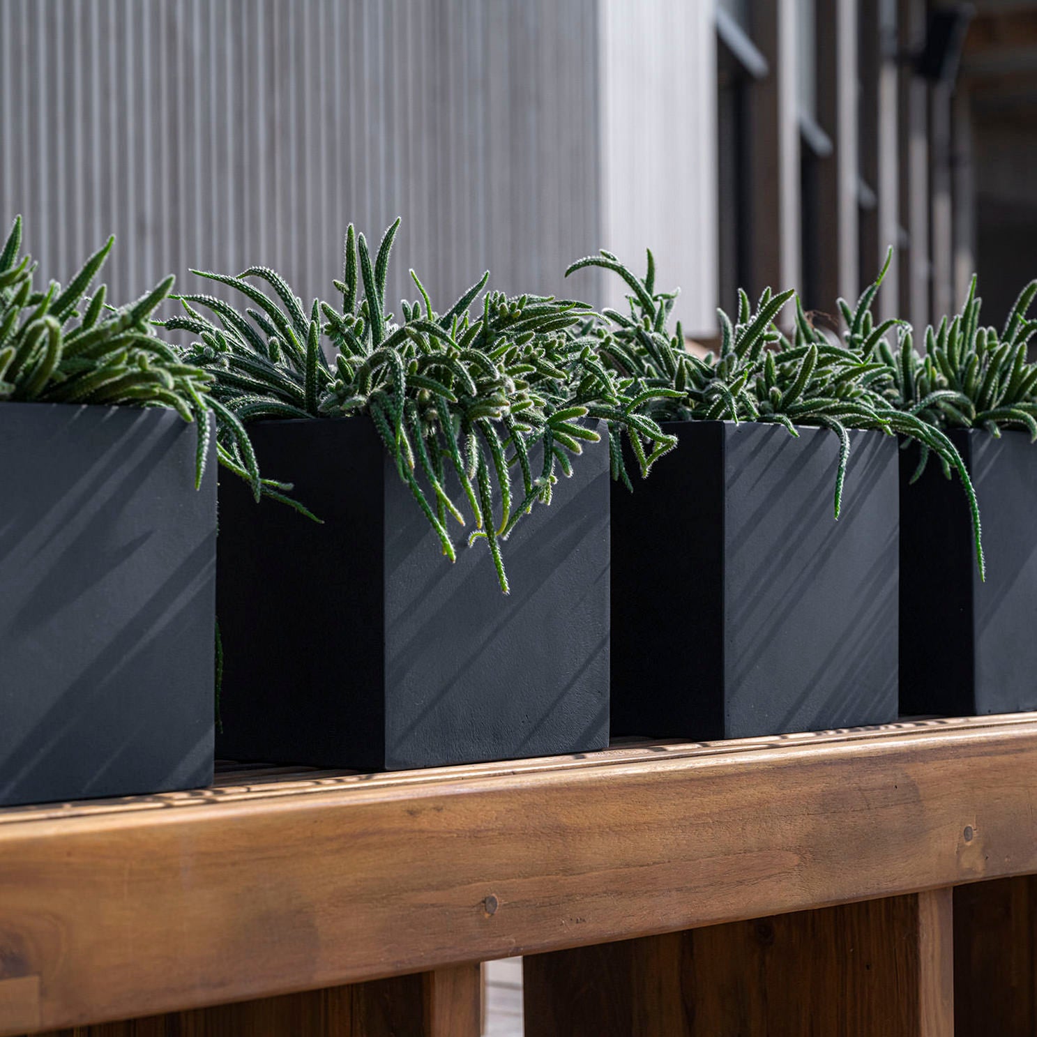 Pflanztopf Block - black