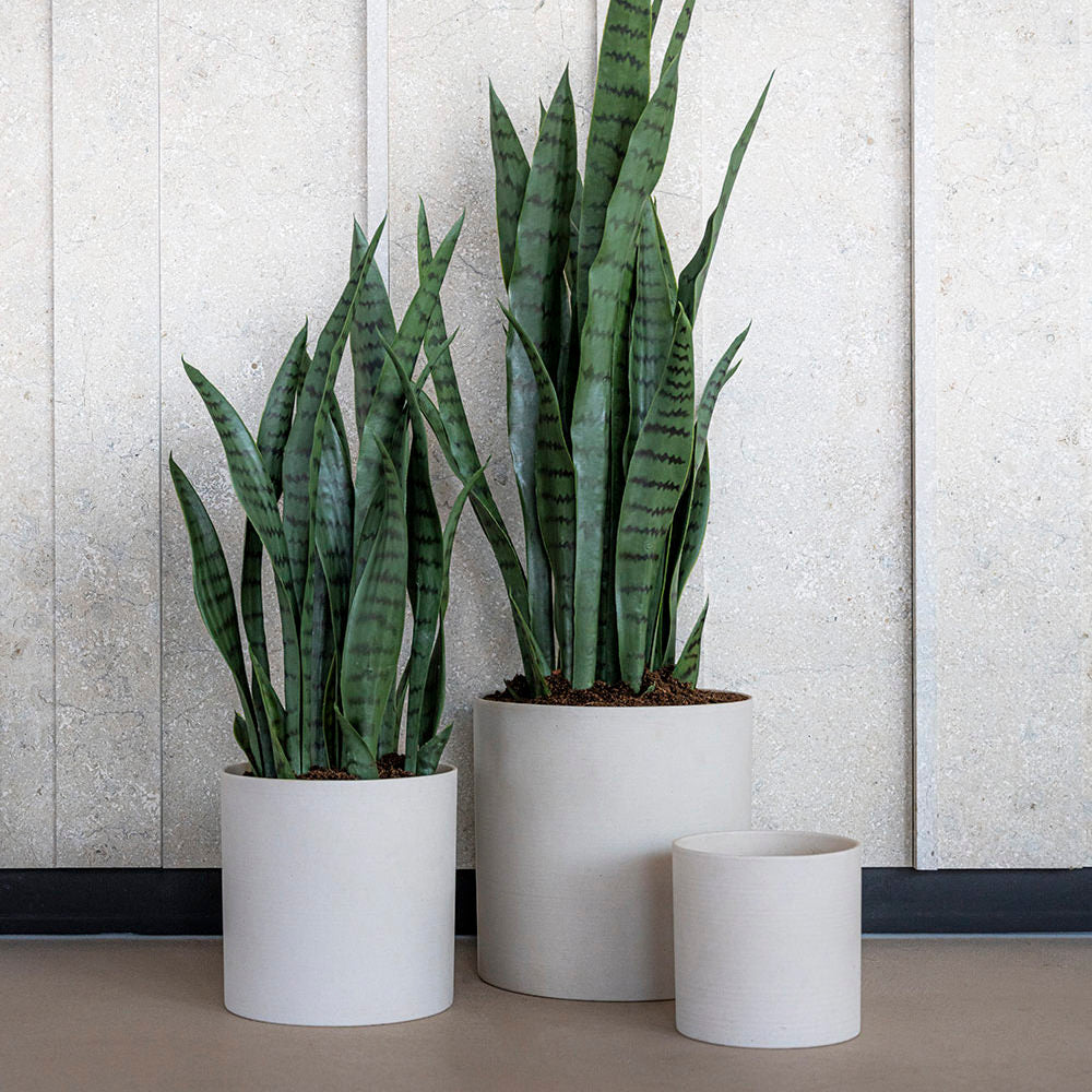 Pflanztopf Max - natural white