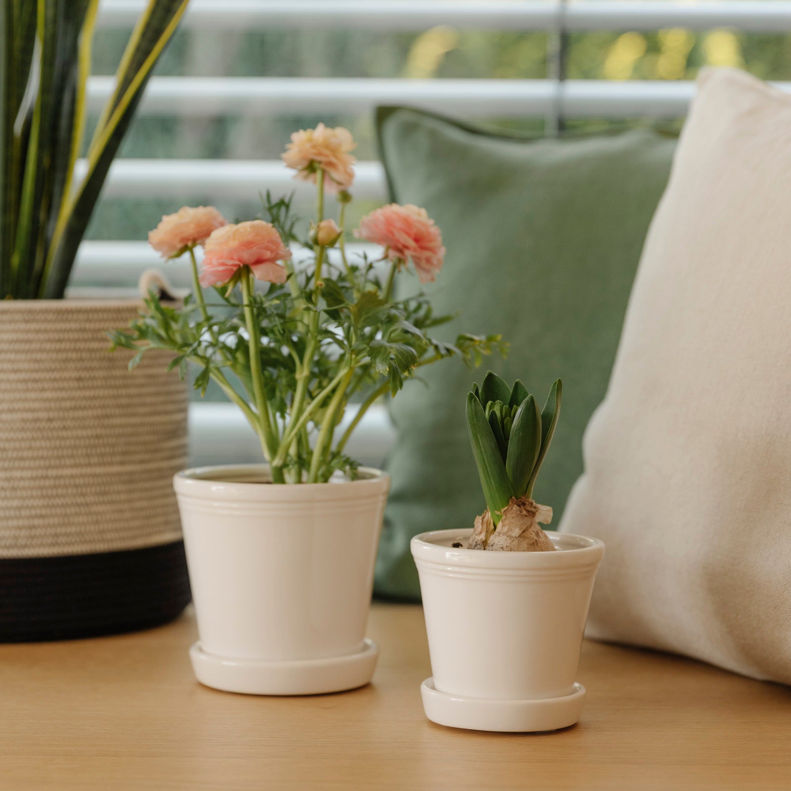 Übertopf mit Untersetzer Emelina - weiß