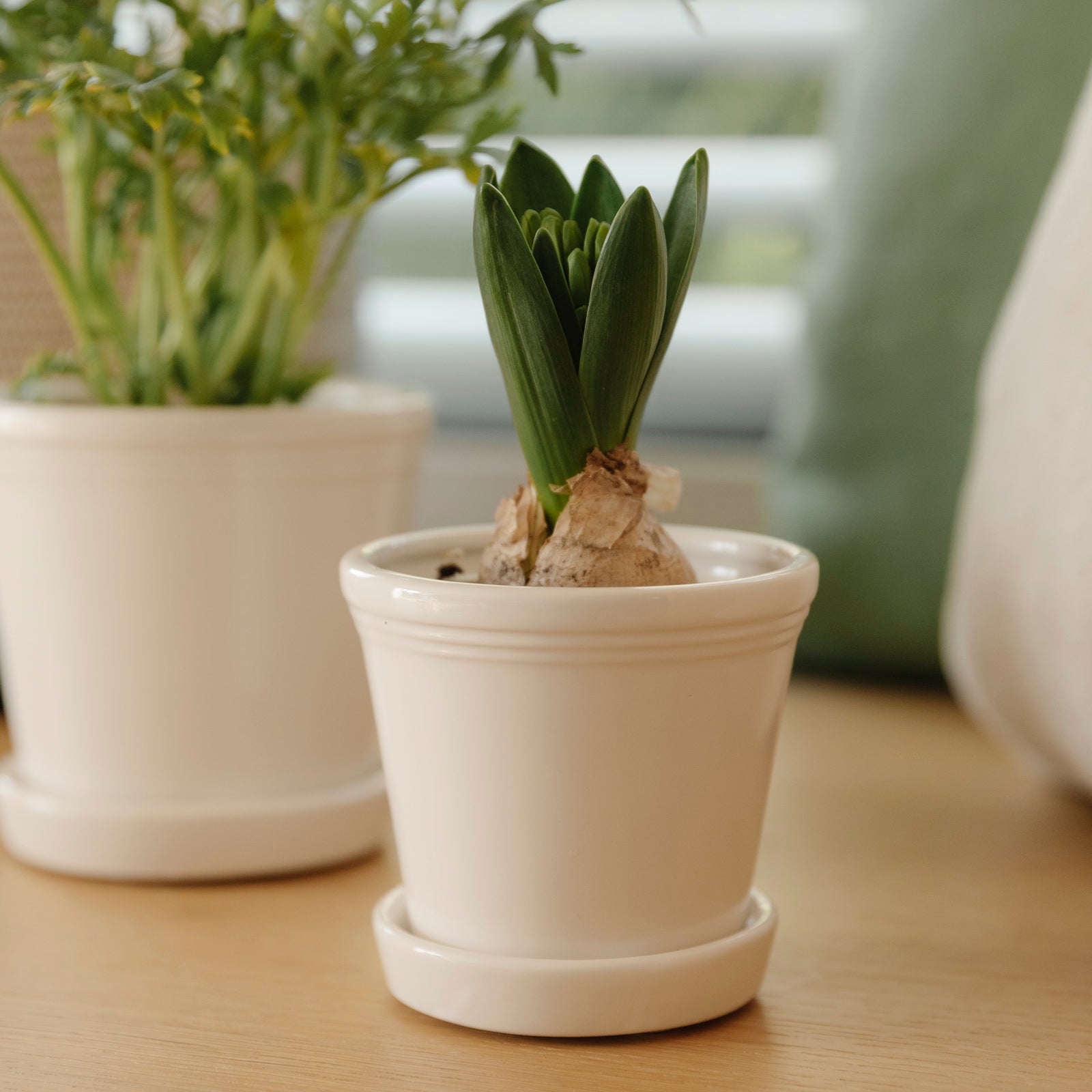 Übertopf mit Untersetzer Emelina - weiß