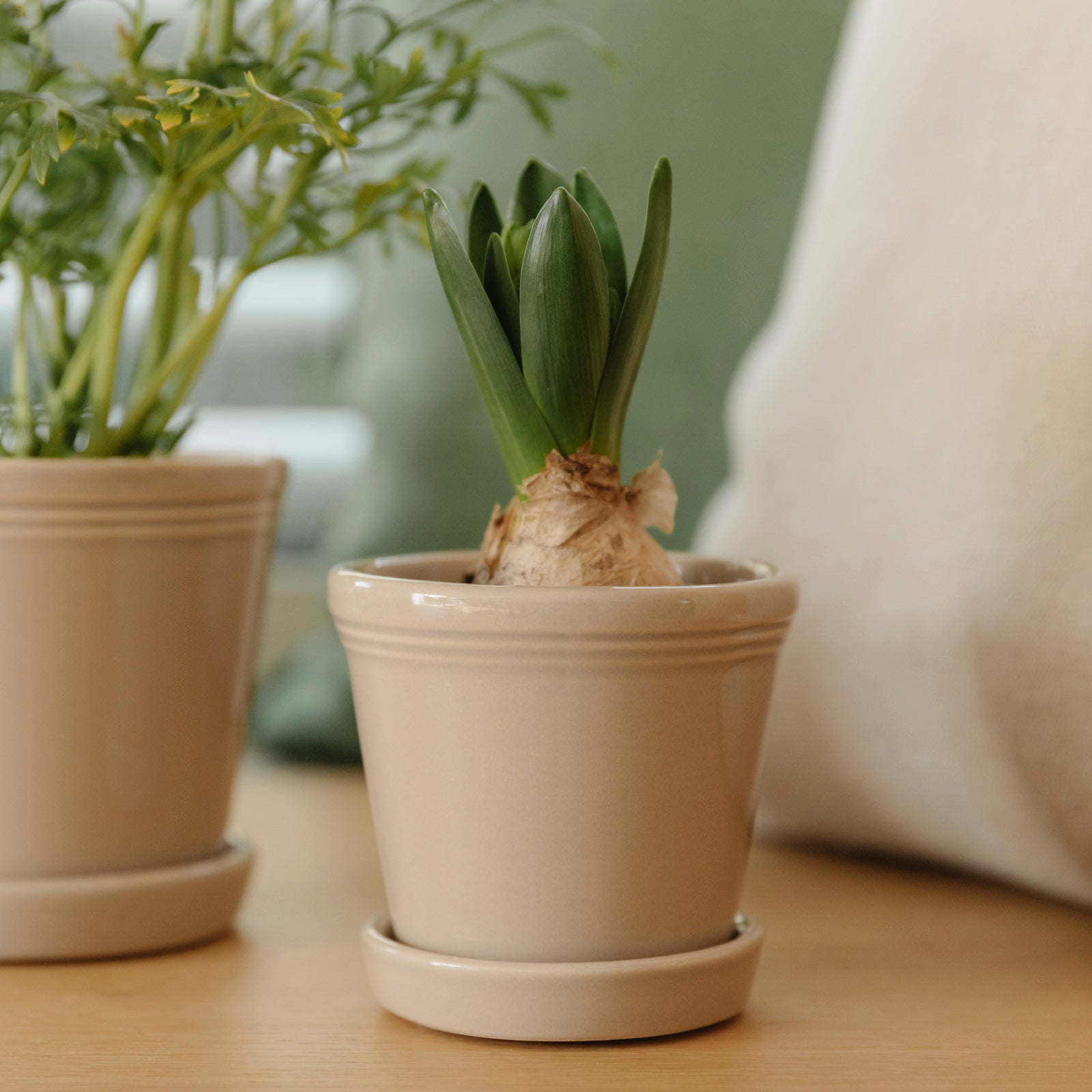 Übertopf mit Untersetzer Emelina - beige