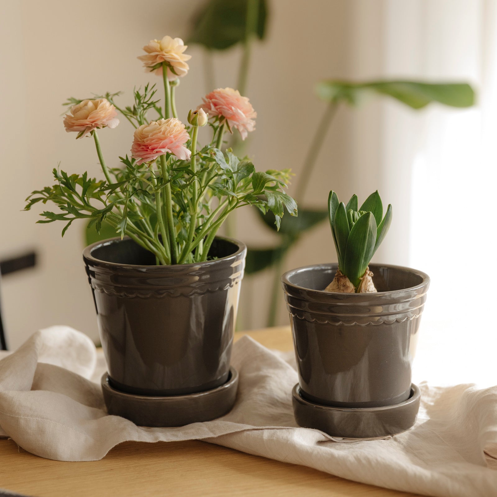 Übertopf mit Untersetzer Astrid - grau