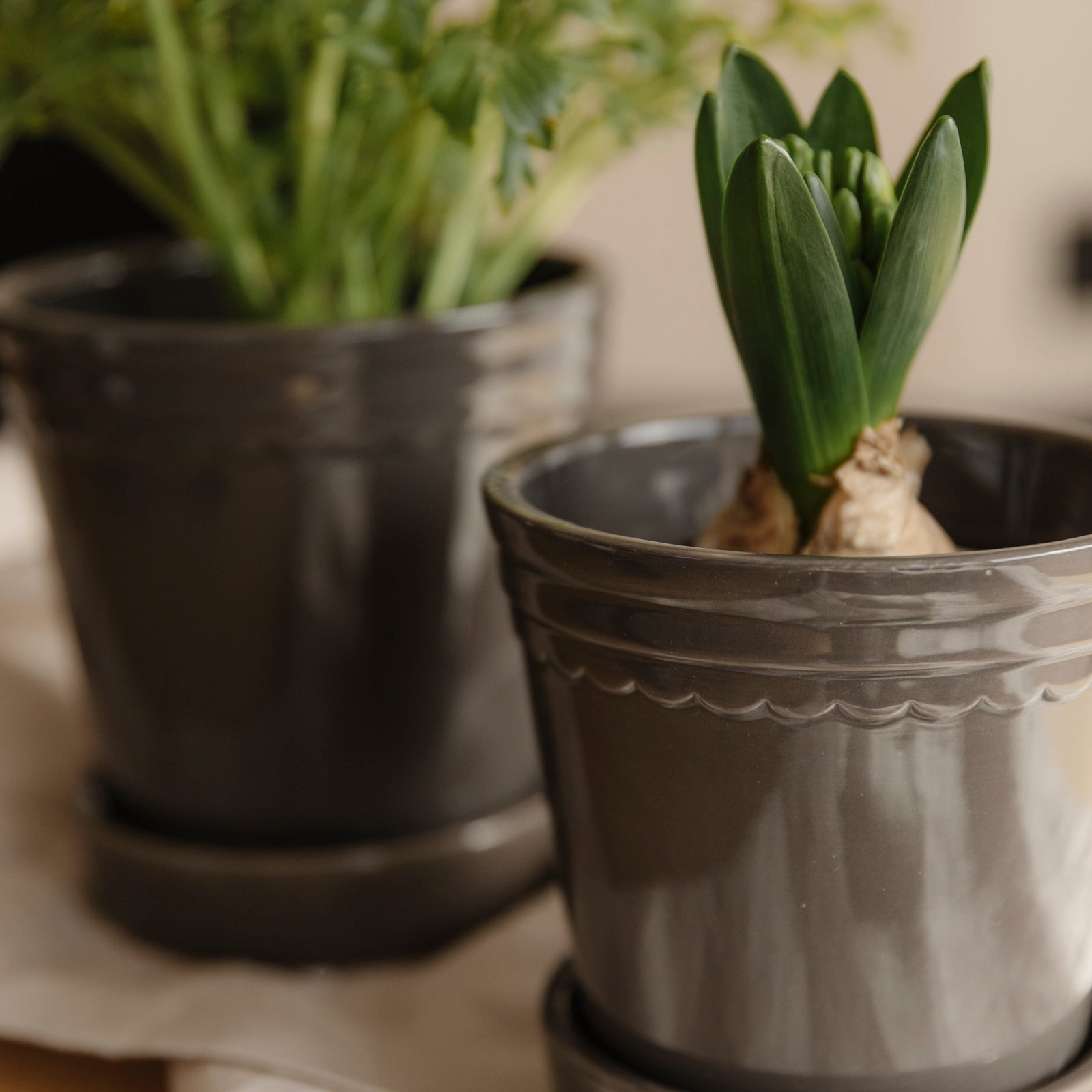 Übertopf mit Untersetzer Astrid - grau