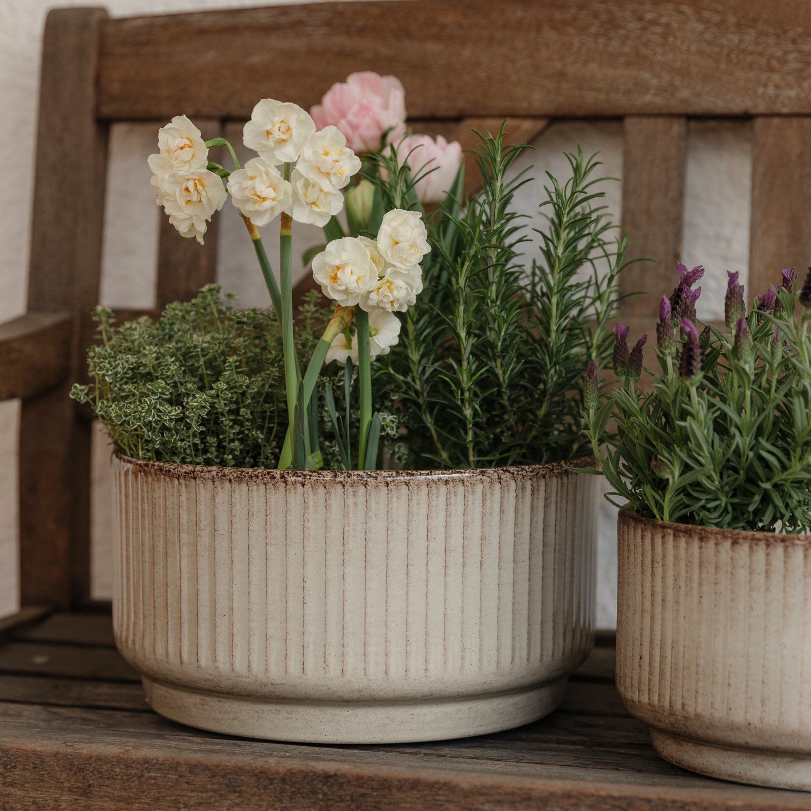 Pflanzschale Jord Stripe - beige