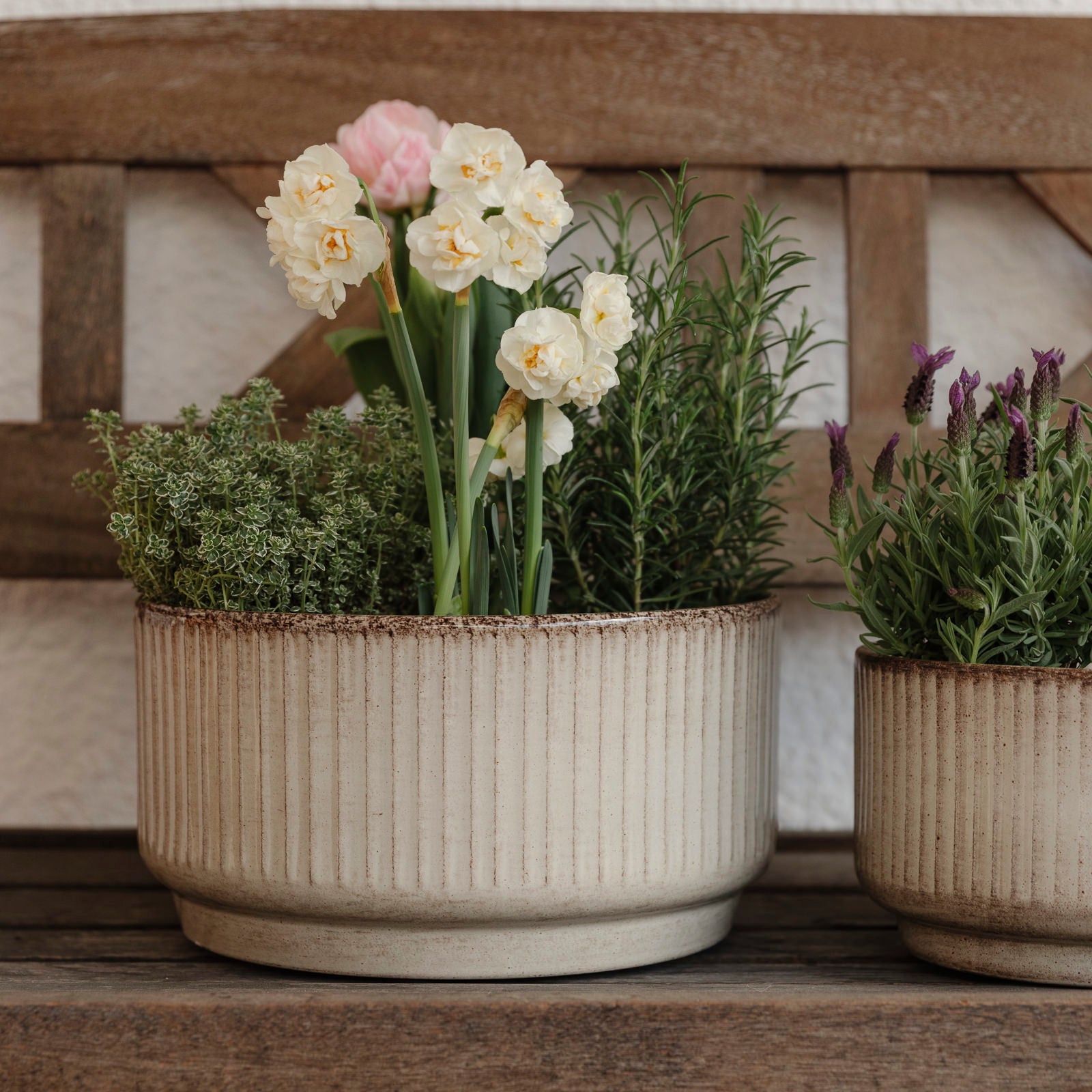 Pflanzschale Jord Stripe - beige