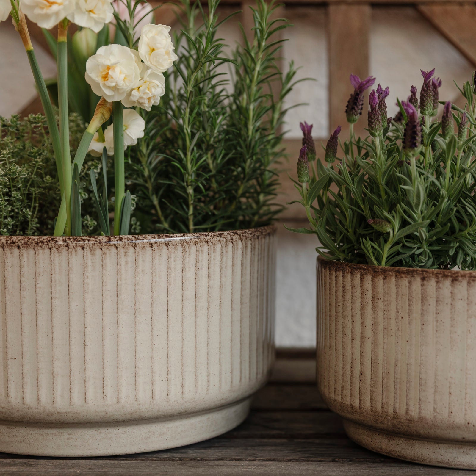 Pflanzschale Jord Stripe - beige