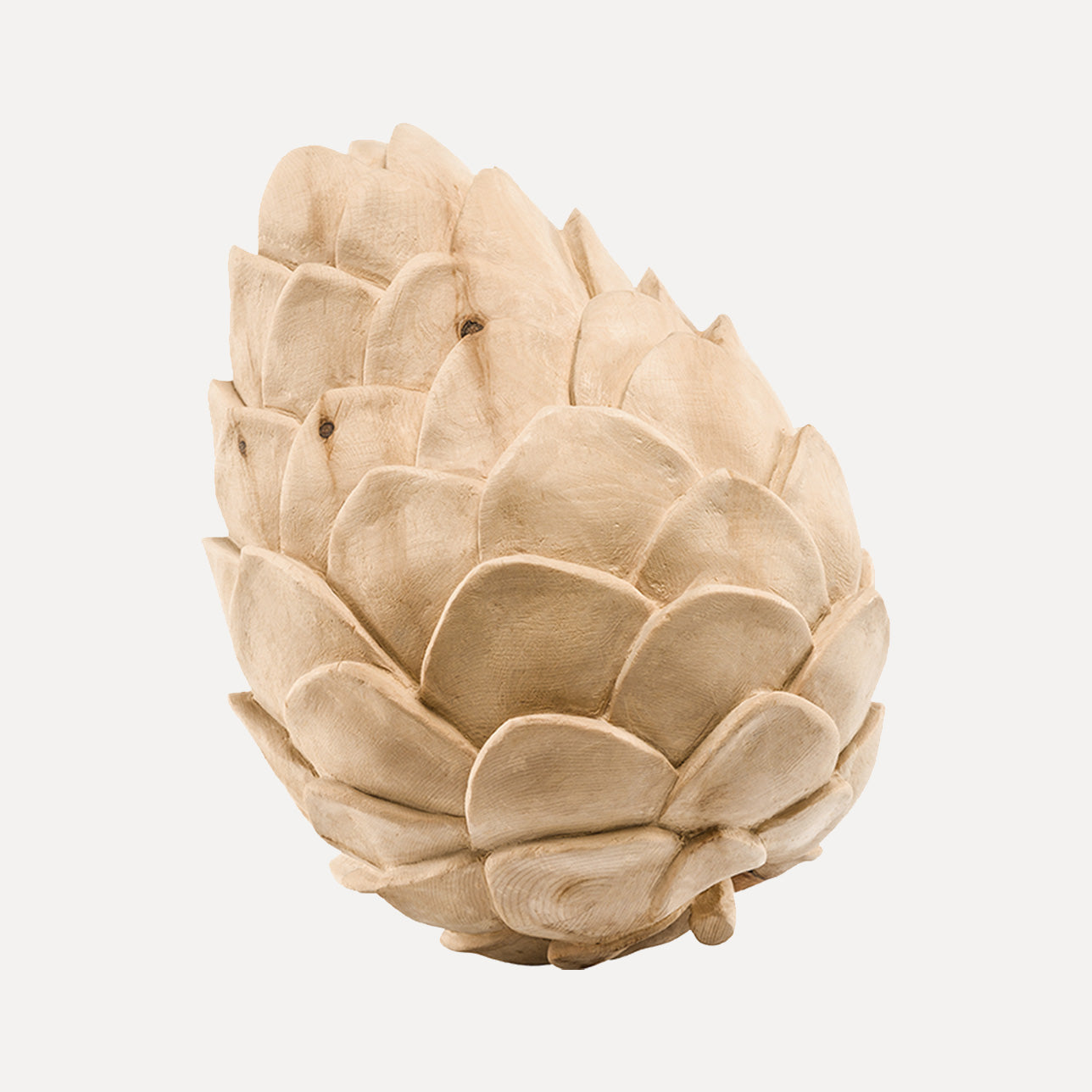 Zirbenzapfen - Zirbenholz