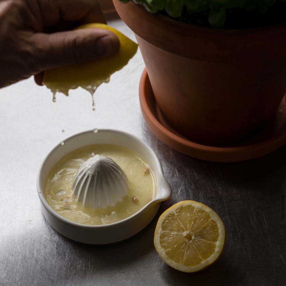 Zitruspresse - weiß gesprenkelt