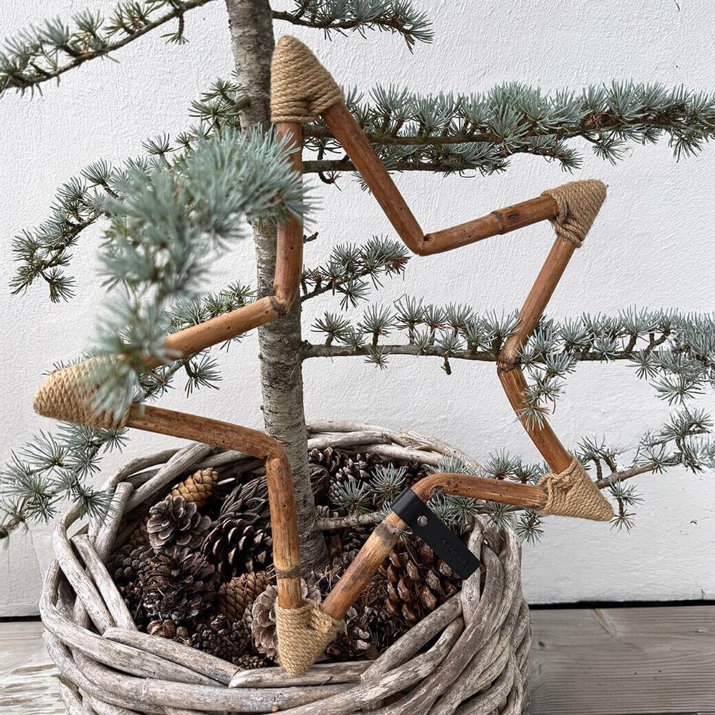 Rattan Stern - natur