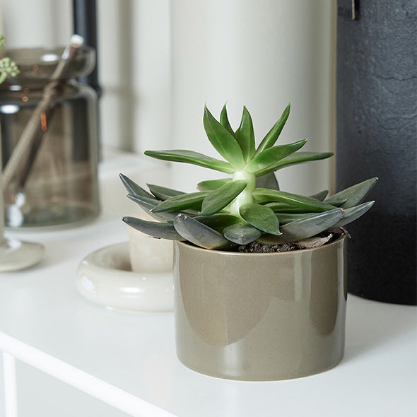 OOhh Mug & Pot - verschiedene Farben