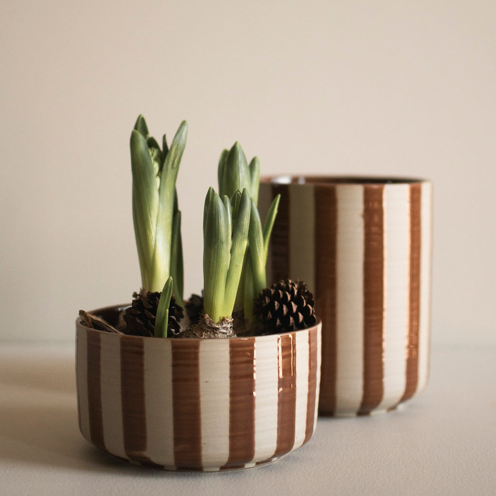 Schale Line - stripe nougat